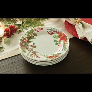 MARBELLA
3495 - Platos medianos Winter Berry (4)